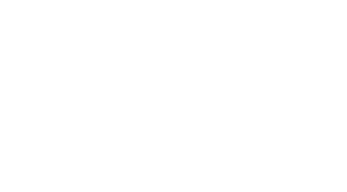 Vincent Pfister au Conseil d'Etat